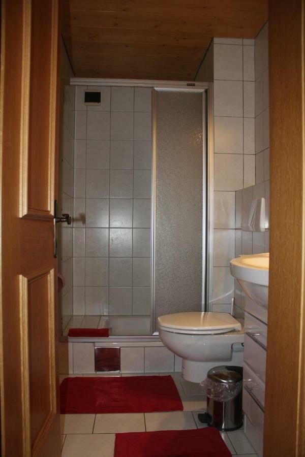 Haus Netzer Irma Διαμέρισμα Sankt Gallenkirch Εξωτερικό φωτογραφία